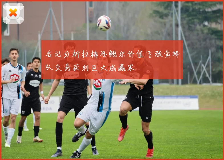 名记分析拉梅洛鲍尔价值飞涨黄蜂队交易获利巨大成赢家